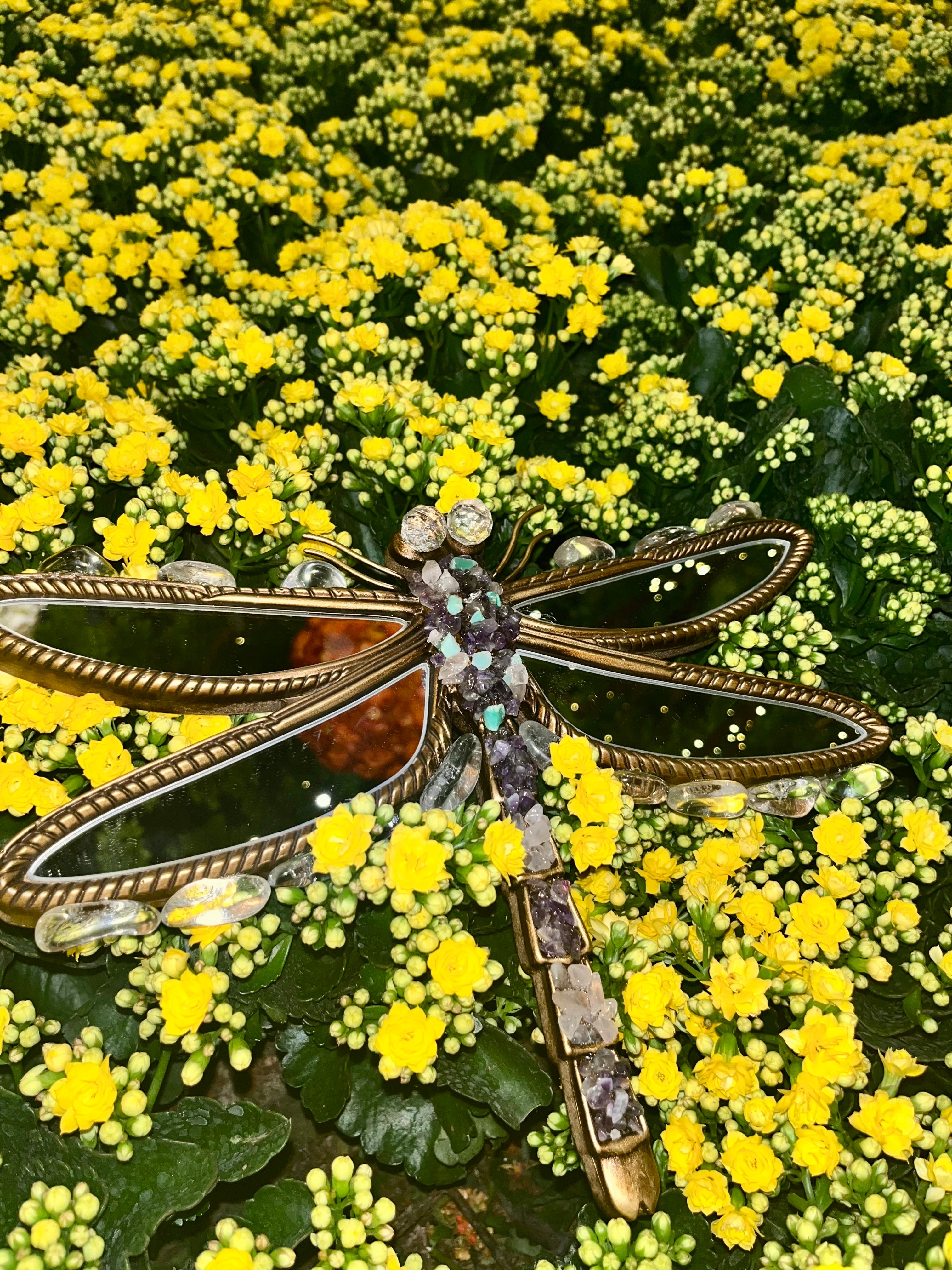 Dragonfly Mirror (AAA Lemurian Quartz, Rose Quartz, Amethyst, Chrysoprase)
