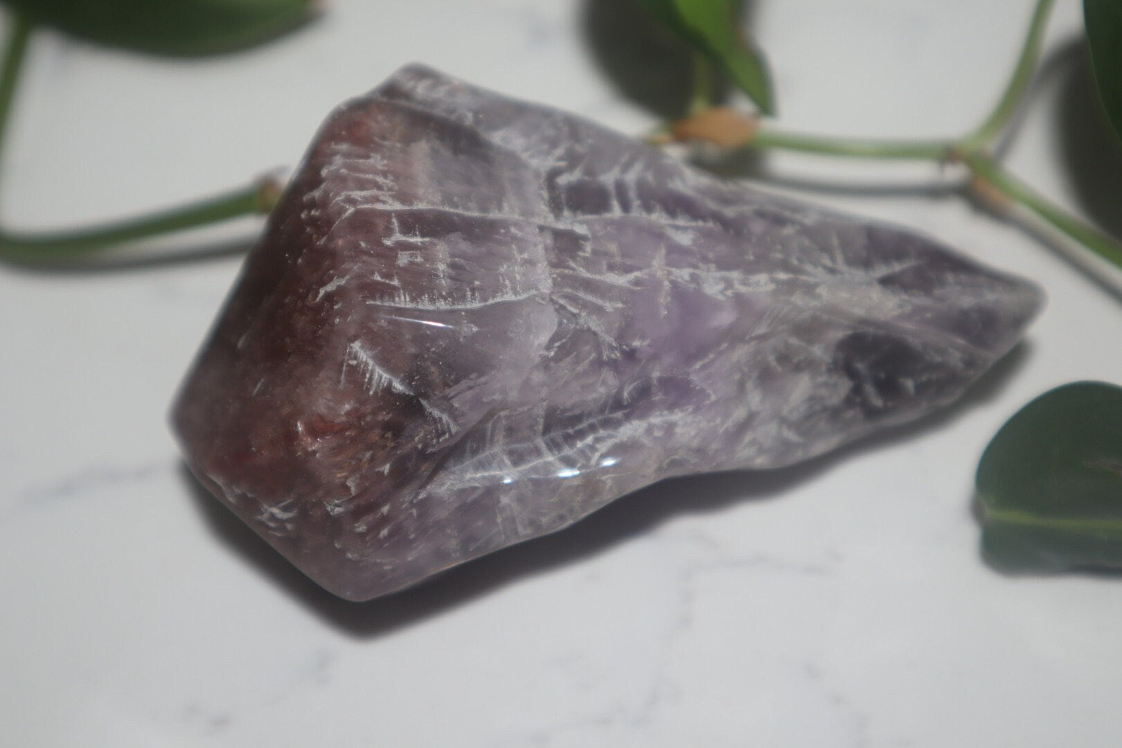 Auralite-23 Stem (D)