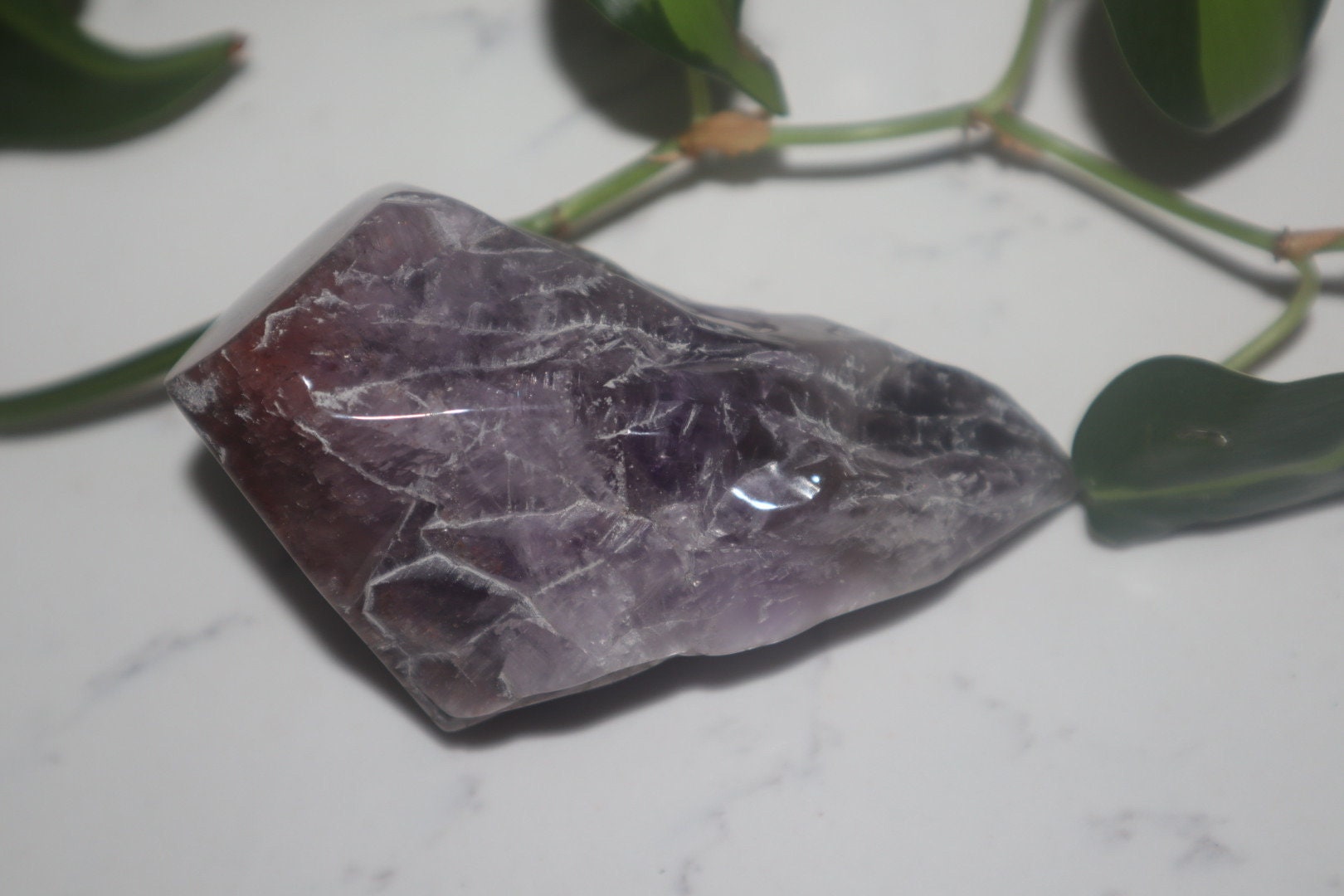 Auralite-23 Stem (D)