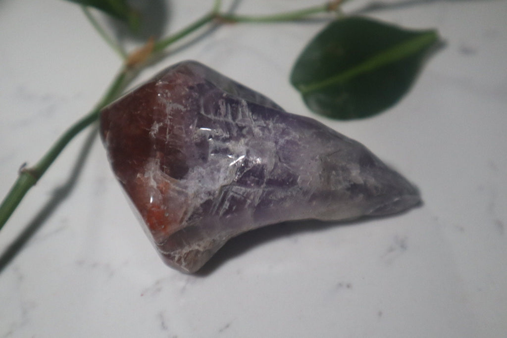 Auralite-23 Stem (E)
