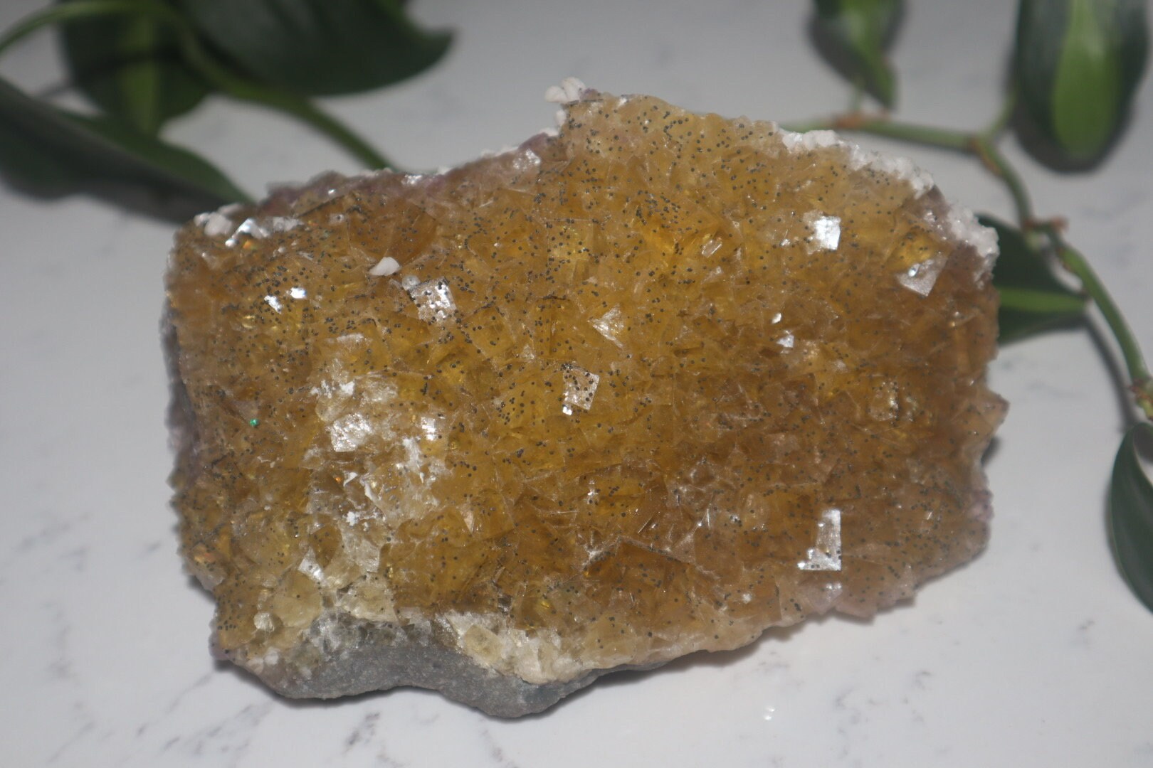 Cubic Honey Fluorite Cluster (A)